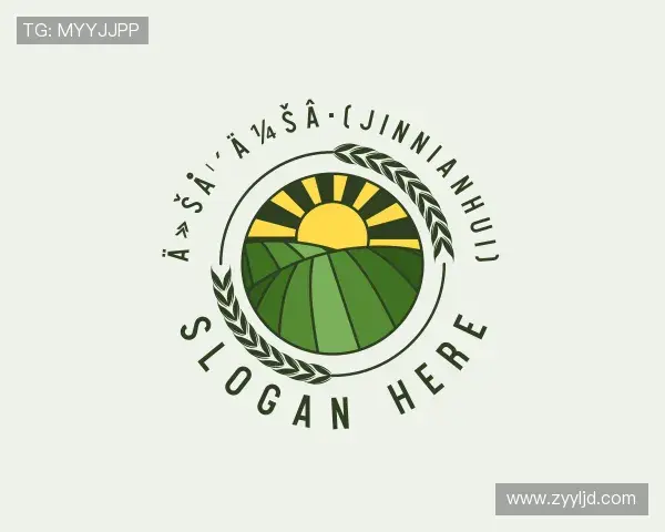 解读今年会jinnianhui